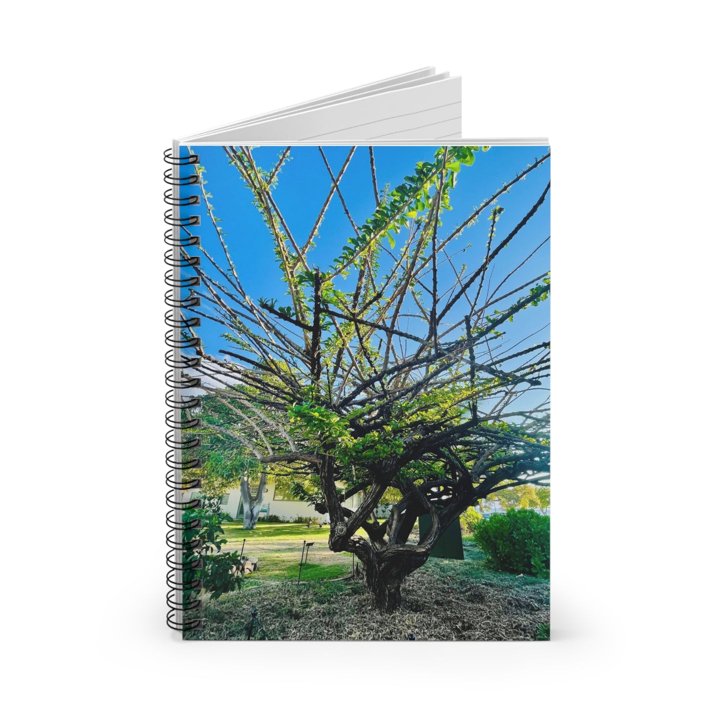 “Restoration Light” – Spiral Notebook | Blurred Thoughts Collection