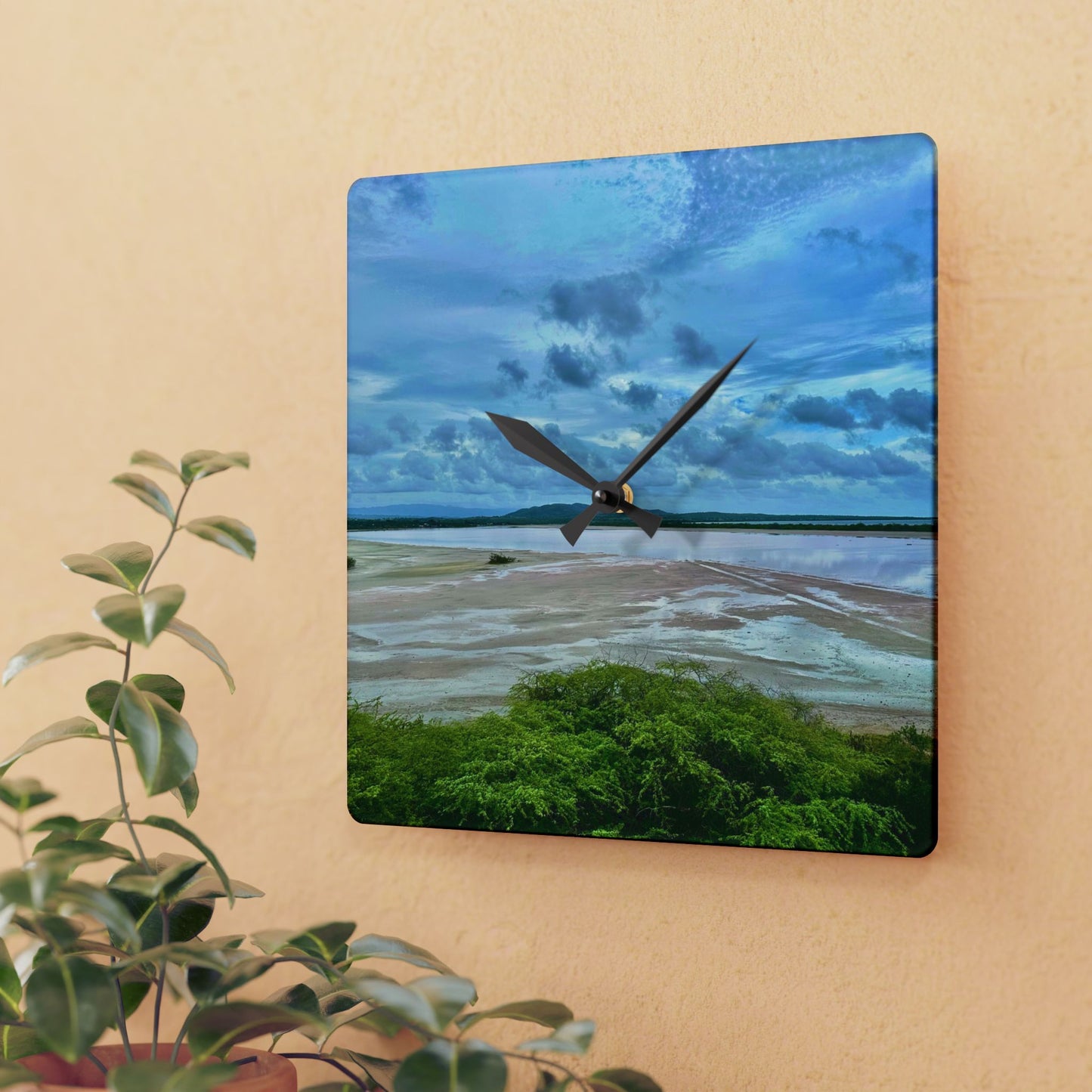 “Wildlife Hour” – Art Clock A still moment from Cabo Rojo National Wildlife Refuge, Puerto Rico.