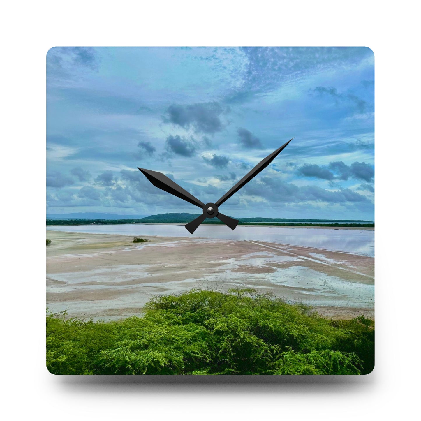 “Wildlife Hour” – Art Clock A still moment from Cabo Rojo National Wildlife Refuge, Puerto Rico.