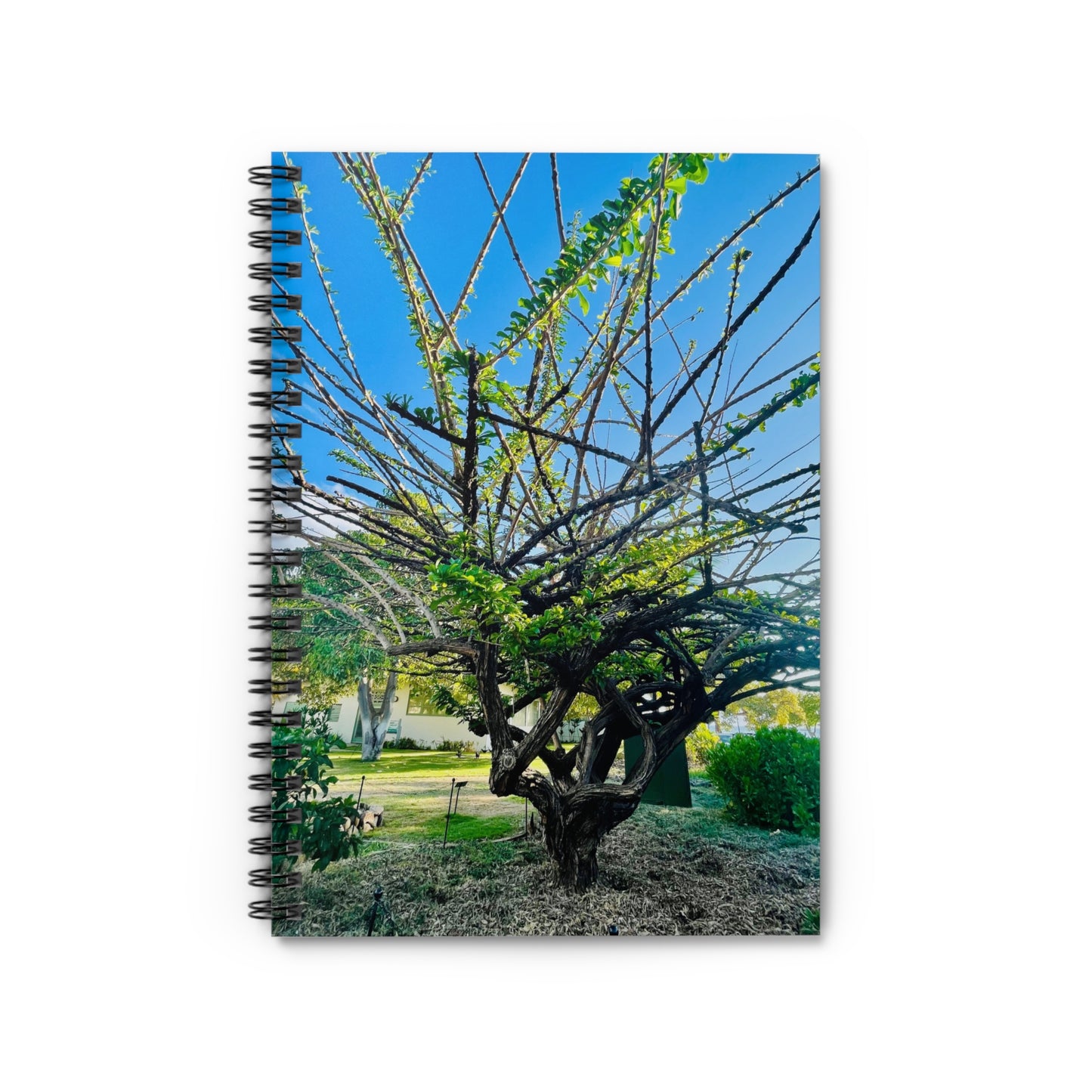 “Restoration Light” – Spiral Notebook | Blurred Thoughts Collection