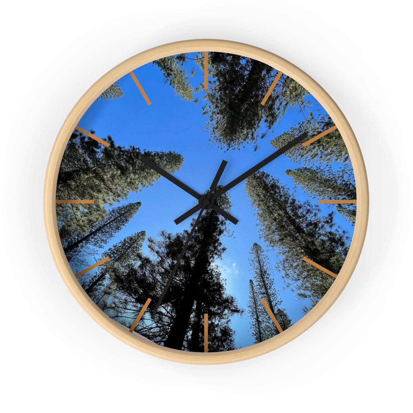 “Island Timekeeper” – Art Clock A gentle reminder from Dole Park, Lānaʻi.