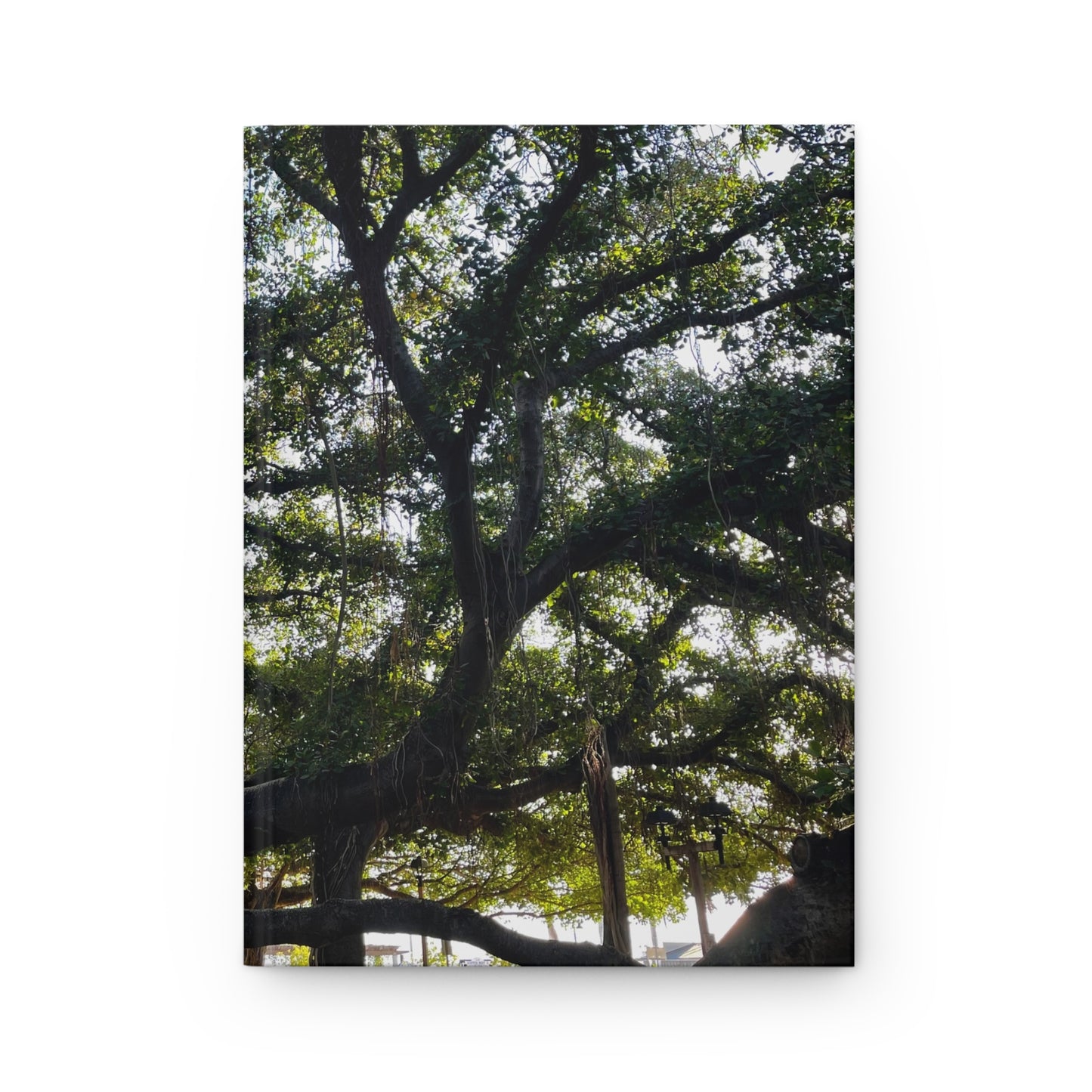 Nature-Inspired Hardcover Journal - Matte Finish for Writers & Dreamers